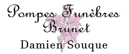 PF Brunet logo
